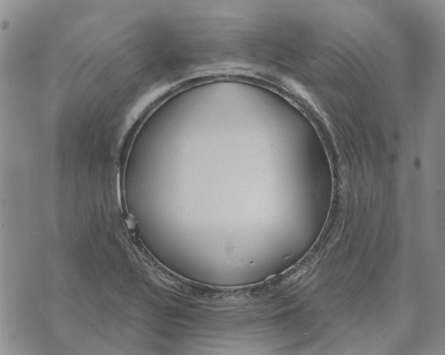 X0000072511320200608041456