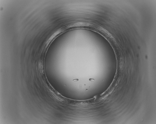 X0000072511321200608041456