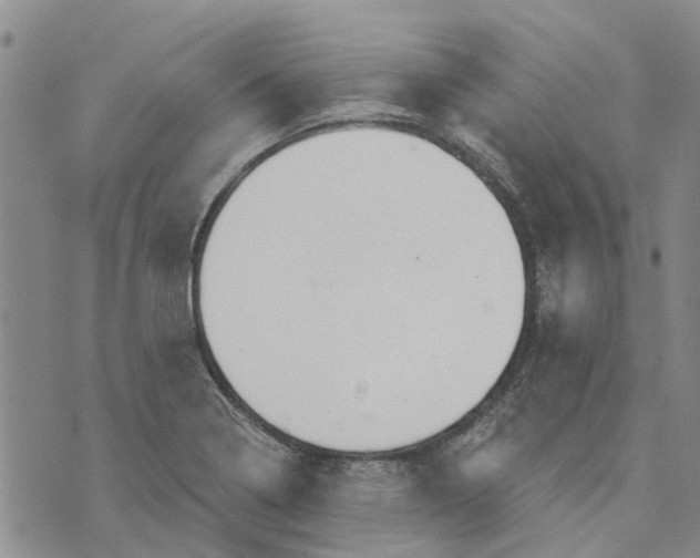 X0000072511322200608041456