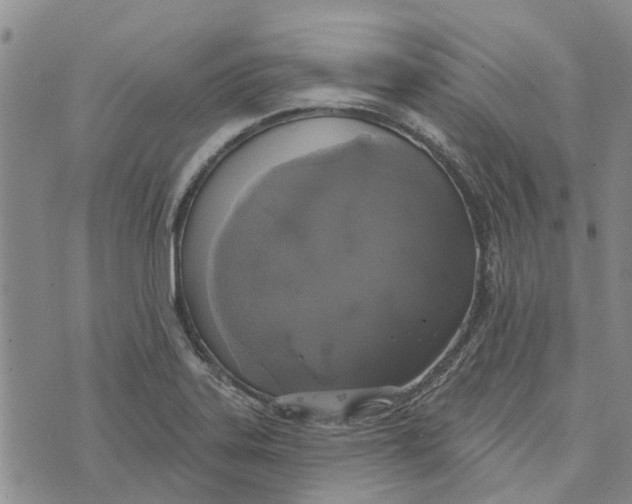 X0000072511323200608041456