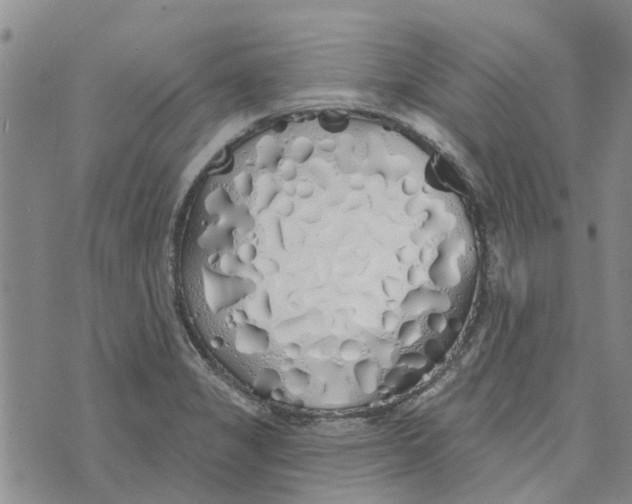 X0000072511325200608041456