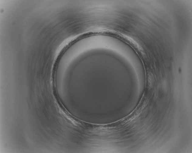 X0000072511327200608041456