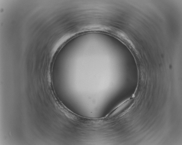 X0000072511328200608041456