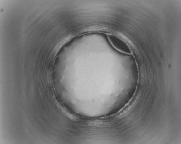 X0000072511329200608041456