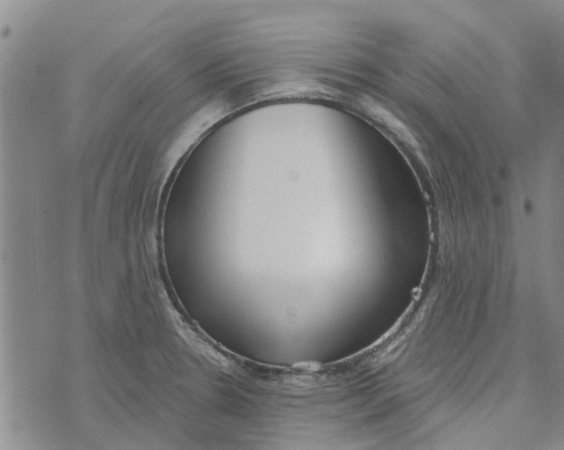 X0000072511330200608041456