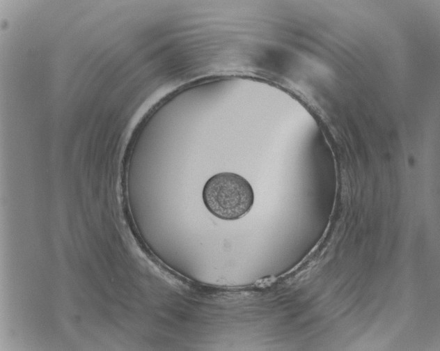 X0000072511331200608041457