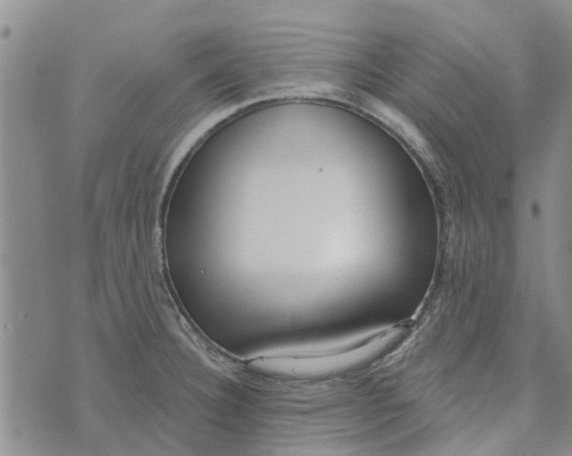 X0000072511332200608041457