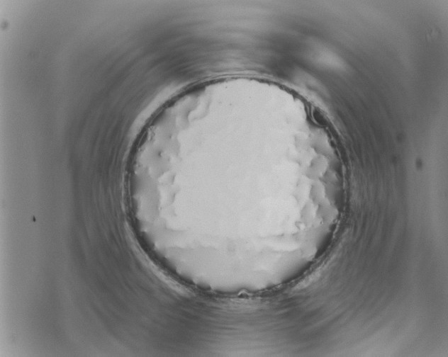 X0000072511333200608041457