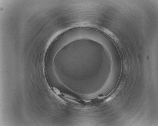 X0000072511334200608041457