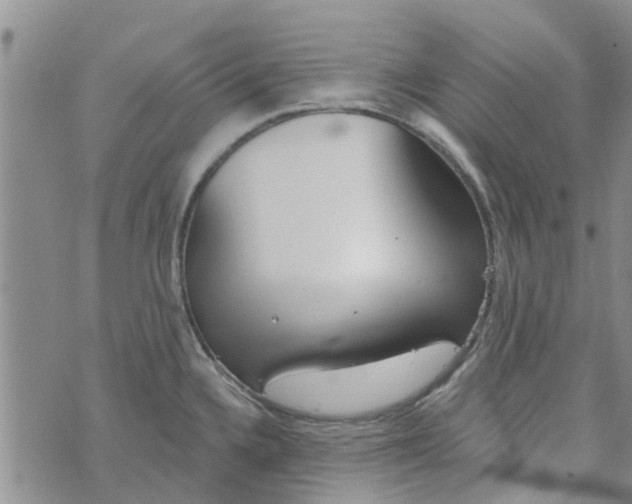 X0000072511336200608041457