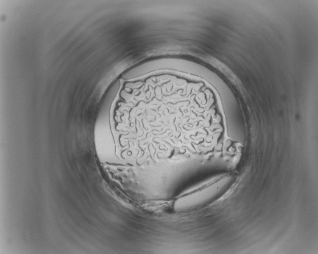 X0000072511337200608041457