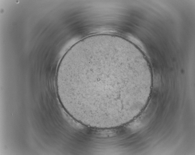 X0000072511338200608041457