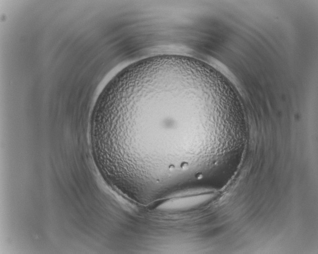 X0000072511339200608041457