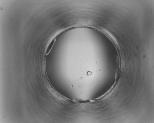 X0000072511340200608041457