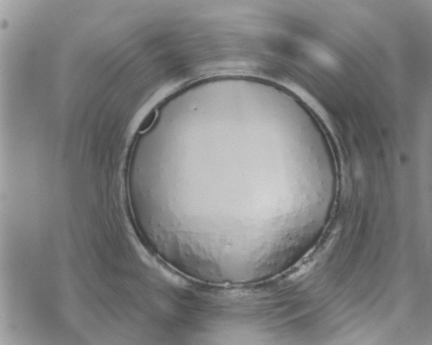 X0000072511341200608041457