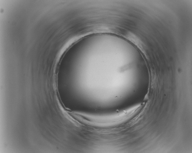 X0000072511342200608041457