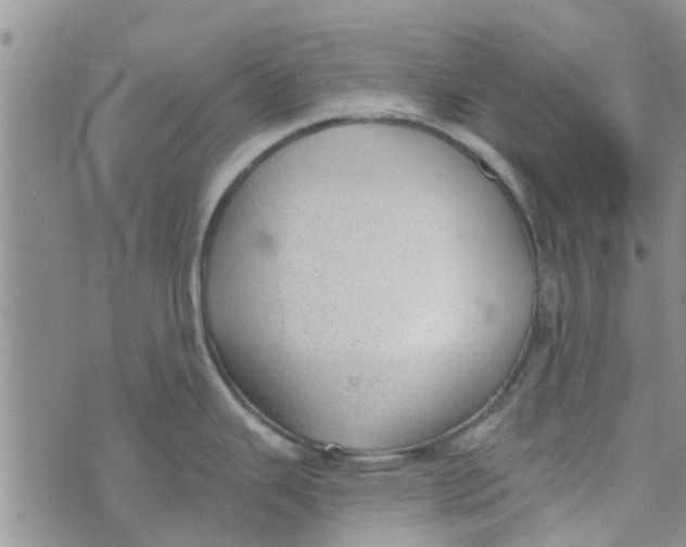 X0000072511343200608041457