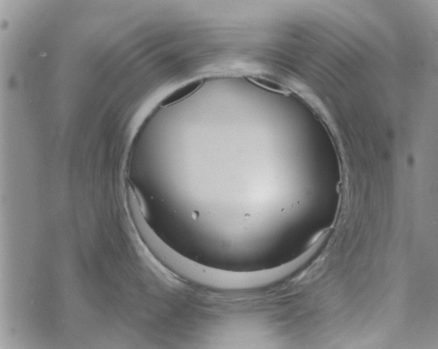 X0000072511344200608041457