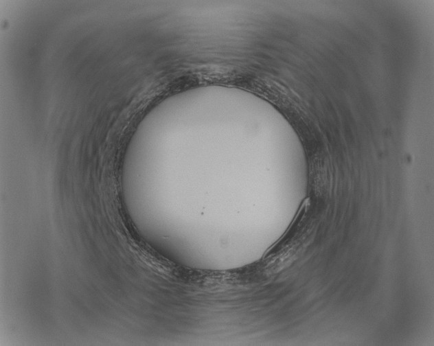 X0000072511345200608041456