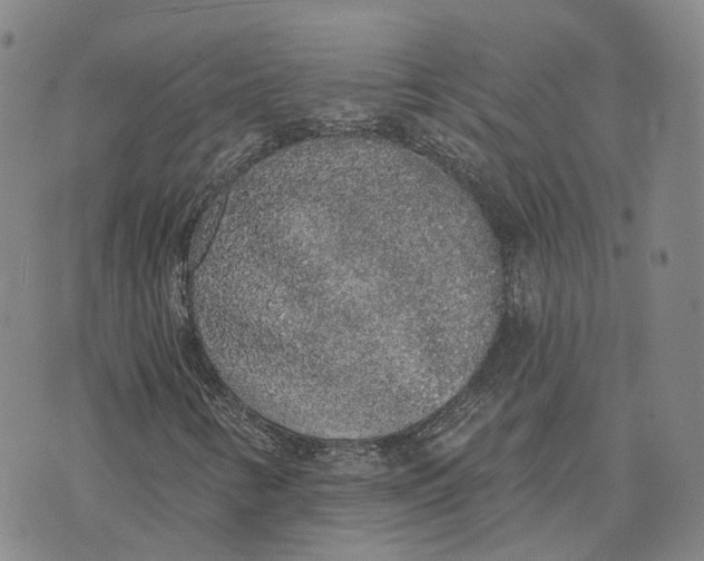 X0000072511346200608041456