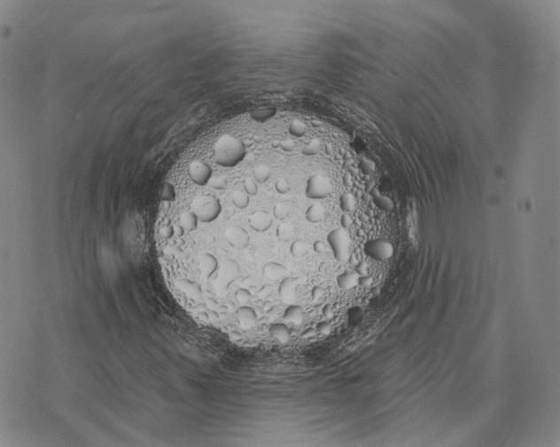 X0000072511347200608041456