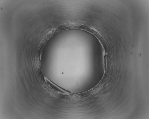 X0000072511348200608041456