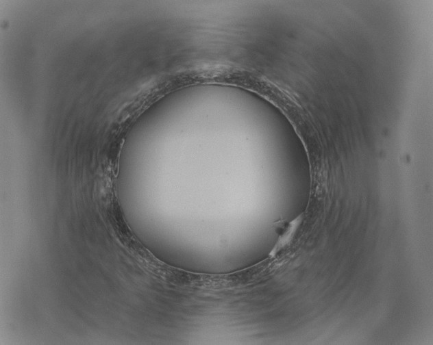 X0000072511349200608041456