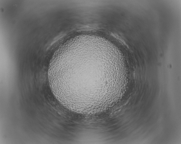 X0000072511350200608041456