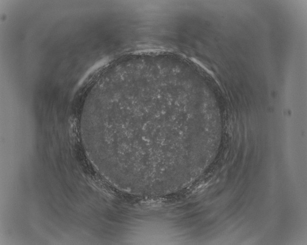 X0000072511351200608041456