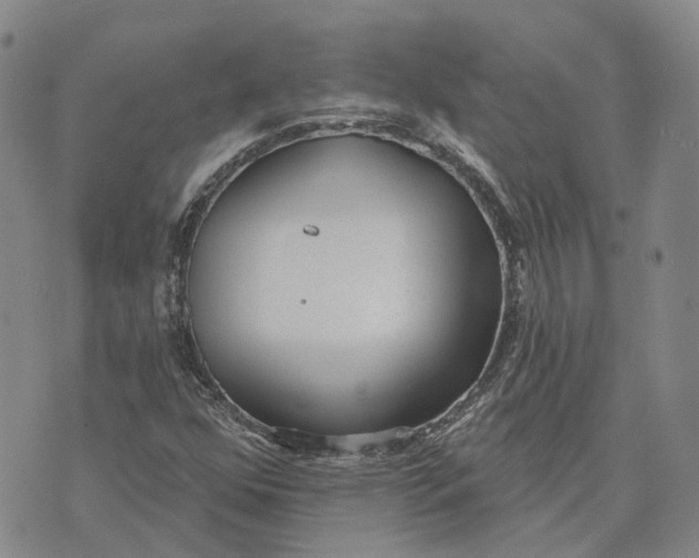 X0000072511352200608041456