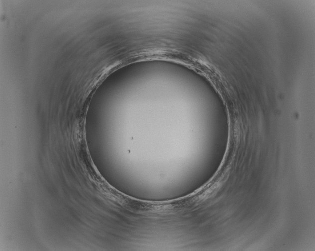 X0000072511353200608041456