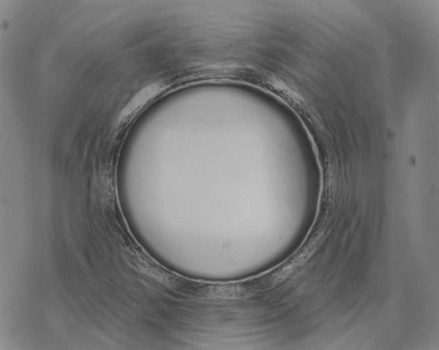 X0000072511354200608041456