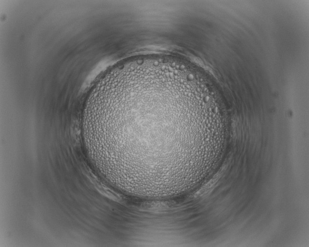 X0000072511355200608041456