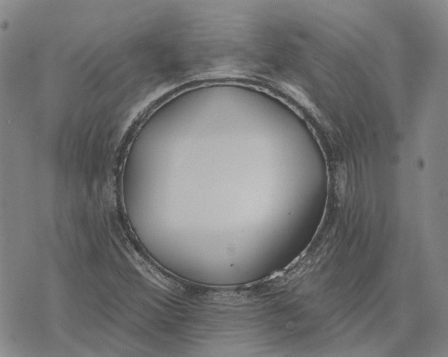 X0000072511356200608041456