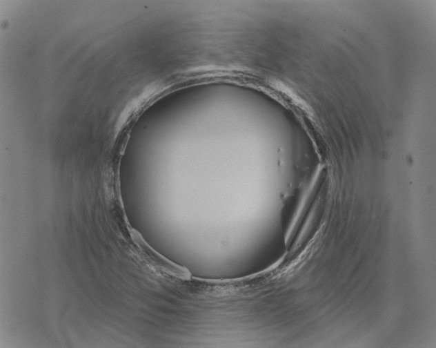 X0000072511357200608041456