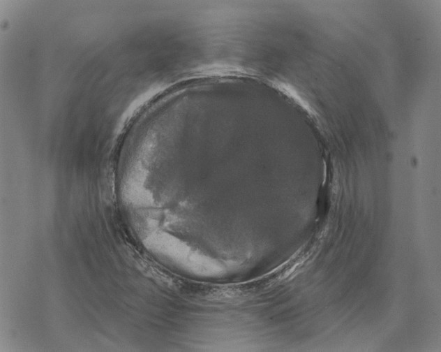 X0000072511358200608041456