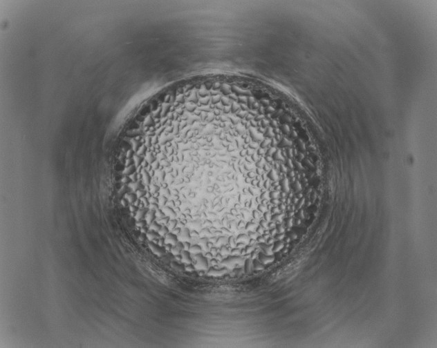 X0000072511359200608041456