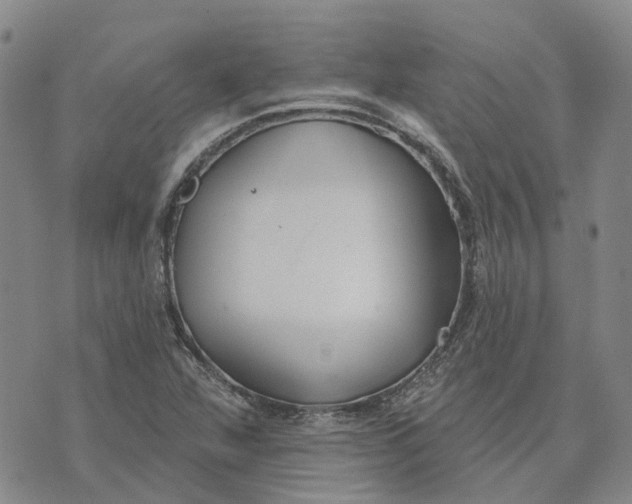 X0000072511360200608041456