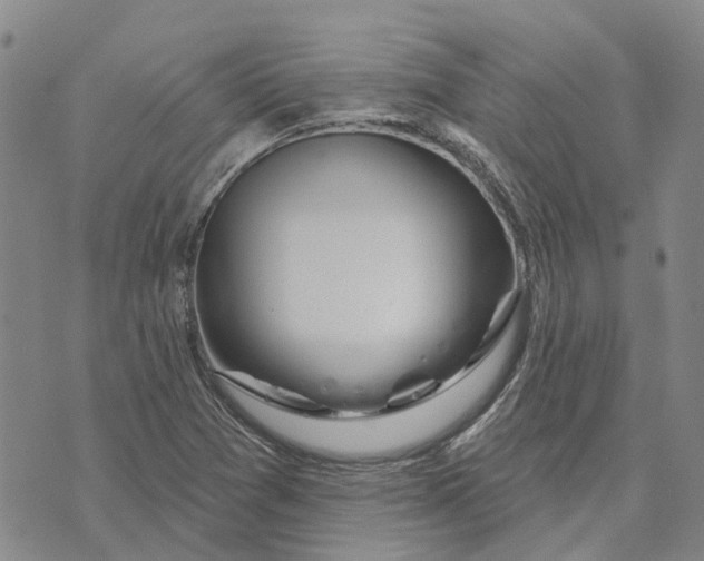 X0000072511361200608041456