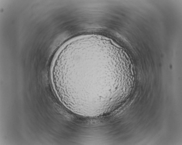 X0000072511362200608041456