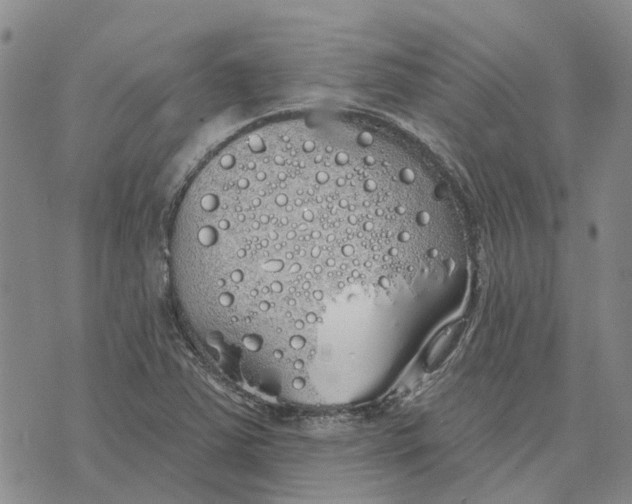 X0000072511363200608041456