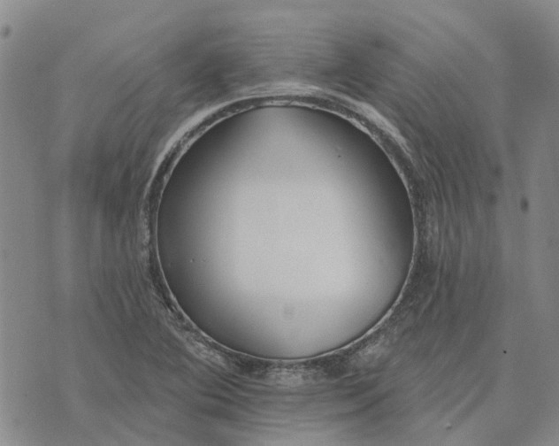 X0000072511364200608041456