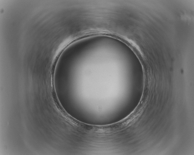 X0000072511365200608041456