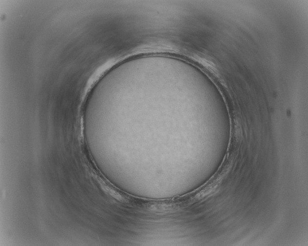 X0000072511366200608041456