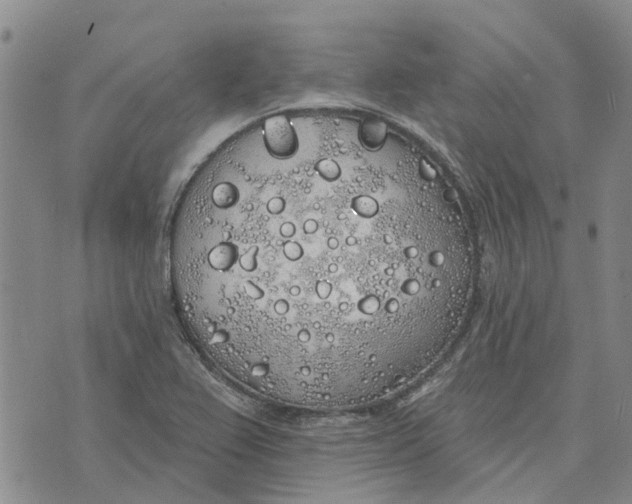 X0000072511367200608041456