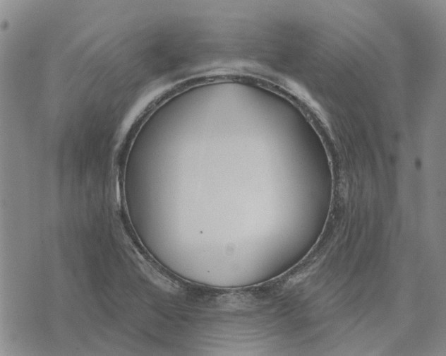 X0000072511368200608041456