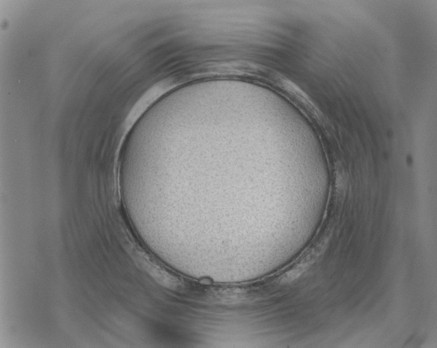 X0000072511370200608041456