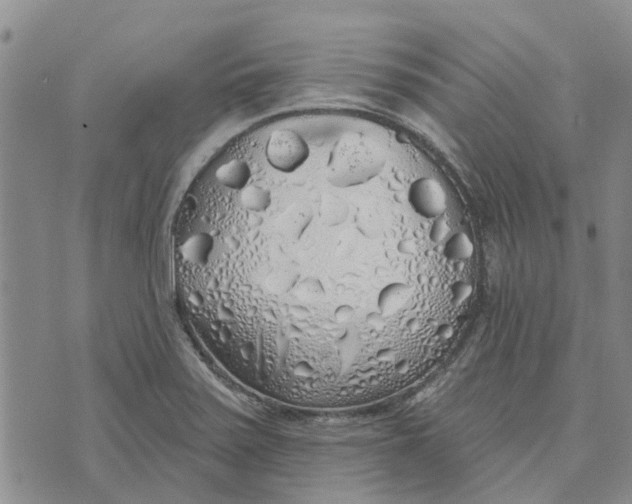 X0000072511371200608041456