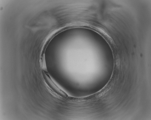 X0000072511372200608041455