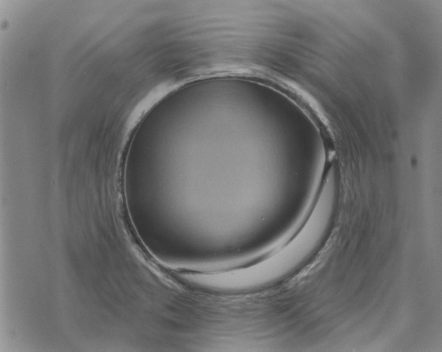 X0000072511373200608041455